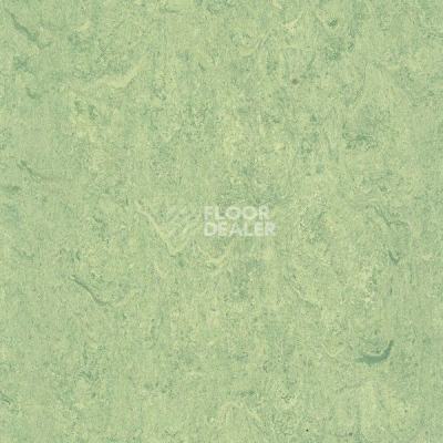 Линолеум Gerflor Marmorette DLW 2.5mm 121-130 фото 1 | FLOORDEALER