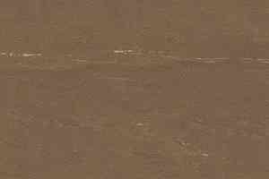 Кварцвиниловые полы Polyflex Plus PU 6180 фото  | FLOORDEALER