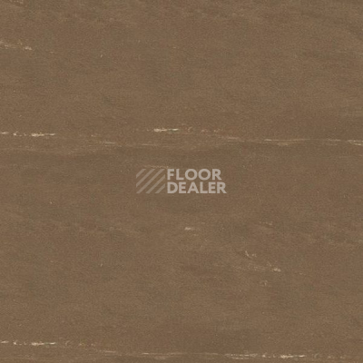 Кварцвиниловые полы Polyflex Plus PU 6180 фото 1 | FLOORDEALER