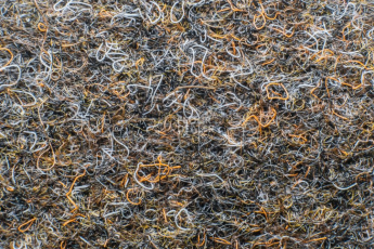 Ковролин Forbo Markant 11115 Ebony фото 1 | FLOORDEALER