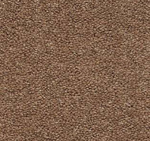 Ковролин AW The Velvet Oreade 36 фото 1 | FLOORDEALER