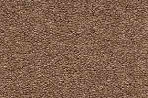 Ковролин AW The Velvet Oreade 36 фото  | FLOORDEALER