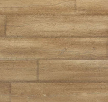 Линолеум Novoflor Extra Mars 2420-2 фото 1 | FLOORDEALER