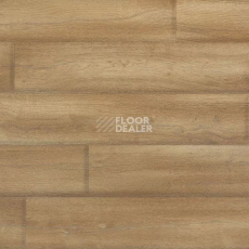 Линолеум Novoflor Extra Mars 2420-2 фото 1 | FLOORDEALER