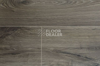 Kronopol Aurum Sound d3885 Дуб Фадо фото 3 | FLOORDEALER