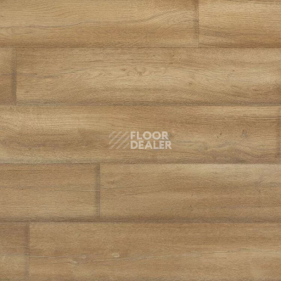 Линолеум Novoflor Extra Mars 2420-2 фото 1 | FLOORDEALER