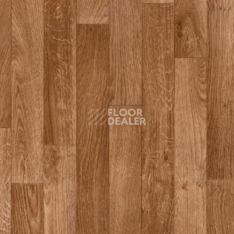 Линолеум Tarkett Omnisports Action 65 Oak фото 1 | FLOORDEALER