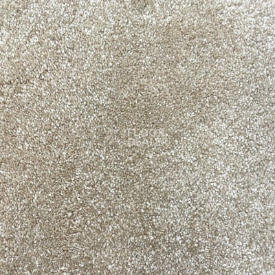 Ковролин Condor Vivaldi 270 фото 1 | FLOORDEALER