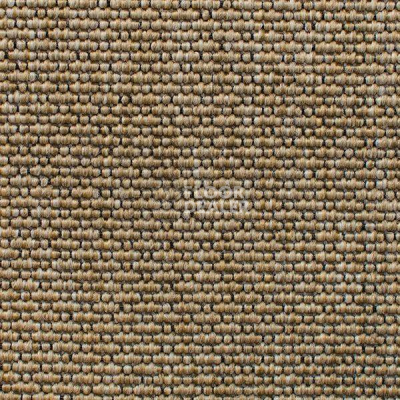 Ковролин Carpet Concept Eco Iqu 40594 фото 1 | FLOORDEALER