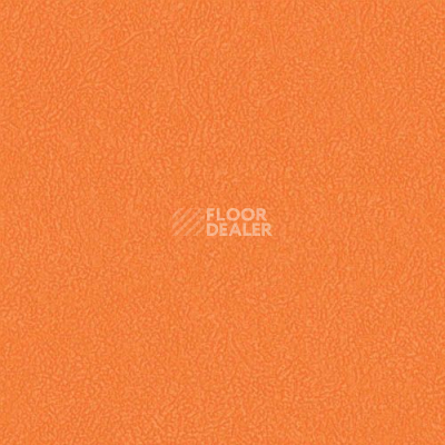 Линолеум Grabo Silver Knight Fitness 3338_00_279 фото 1 | FLOORDEALER