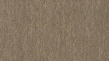 Ковролин Vorwerk Passion 1002 Vorwerk 7e60 фото 1 | FLOORDEALER