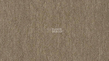 Ковролин Vorwerk Passion 1002 Vorwerk 7e60 фото 1 | FLOORDEALER