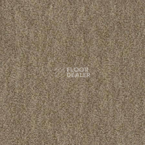 Ковролин Vorwerk Passion 1002 Vorwerk 7e60 фото 1 | FLOORDEALER