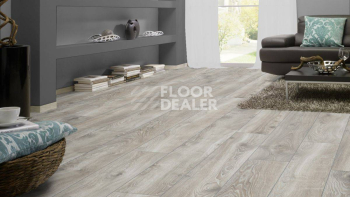 Kronotex Mammut Plus d4797 Дуб Горный Серебристый фото 2 | FLOORDEALER