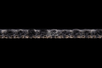 Betap Plato_new Plato 790 фото 4 | FLOORDEALER