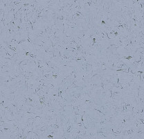 Кварцвиниловые полы Forbo Allura Colour C68028 фото 1 | FLOORDEALER