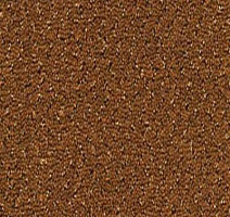 Ковролин Desso Champion 2066 фото 1 | FLOORDEALER