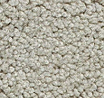 Ковролин Girloon Body1 851 фото 1 | FLOORDEALER