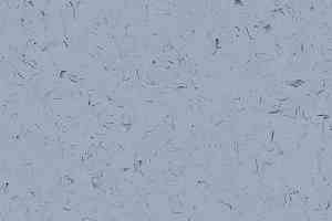 Кварцвиниловые полы Forbo Allura Colour C68028 фото  | FLOORDEALER