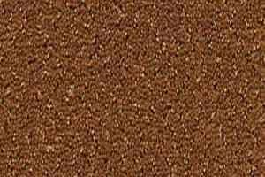 Ковролин Desso Champion 2066 фото  | FLOORDEALER