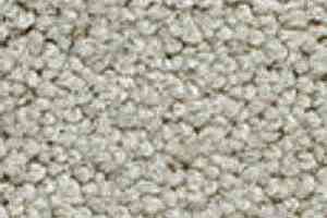 Ковролин Girloon Body1 851 фото  | FLOORDEALER