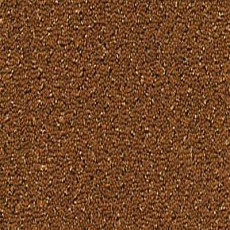 Ковролин Desso Champion 2066 фото 1 | FLOORDEALER