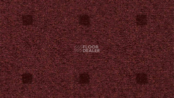 Ковролин Vorwerk Passion 1045 Vorwerk 1n11 фото 1 | FLOORDEALER