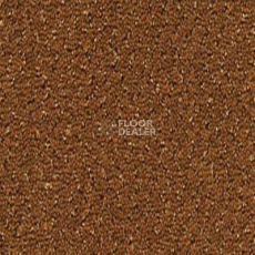 Ковролин Desso Champion 2066 фото 1 | FLOORDEALER