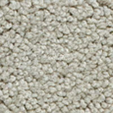 Ковролин Girloon Body1 851 фото 1 | FLOORDEALER