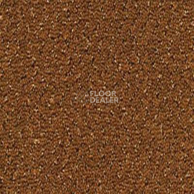 Ковролин Desso Champion 2066 фото 1 | FLOORDEALER