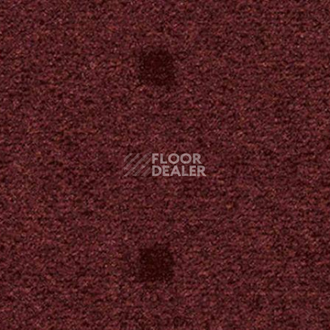 Ковролин Vorwerk Passion 1045 Vorwerk 1n11 фото 1 | FLOORDEALER