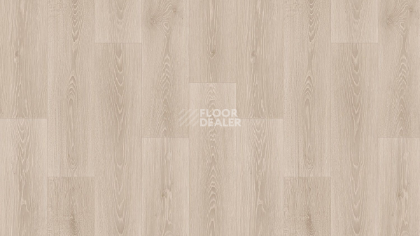 Линолеум Tarkett Bonus Lauder 4 фото 1 | FLOORDEALER