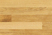 Пробковое покрытие Corkstyle Wood OAK фото 1 | FLOORDEALER