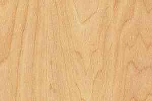Линолеум Taraflex Performance Wood 6381_Maple_design фото  | FLOORDEALER