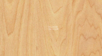 Линолеум Taraflex Performance Wood 6381_Maple_design фото 1 | FLOORDEALER