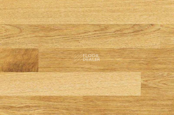 Пробковое покрытие Corkstyle Wood OAK фото 1 | FLOORDEALER