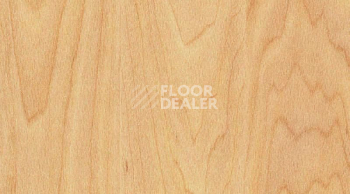 Линолеум Gerflor Taraflex Performance Wood 6381_Maple_design фото 1 | FLOORDEALER