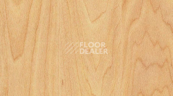 Линолеум Gerflor Taraflex Performance Wood 6381_Maple_design фото 1 | FLOORDEALER