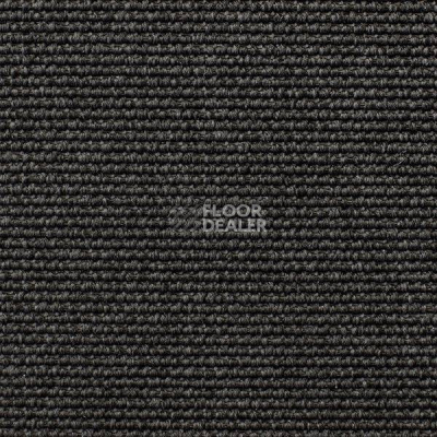 Ковролин Carpet Concept Eco Iqu 54446 фото 1 | FLOORDEALER