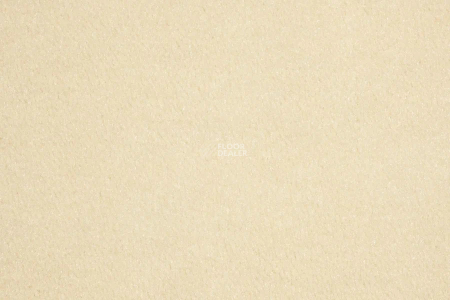 Vorwerk Passion 1000/Modena Vorwerk 6a40 фото 2 | FLOORDEALER