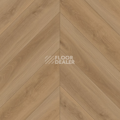 Ламинат Signature Obsidian Chevron 12мм LF703-29 Дуб Ривьера French Riviere фото 1 | FLOORDEALER