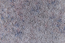 Flotex Colour Calgary 50*50 t590019 Calgary Carbon фото 2 | FLOORDEALER