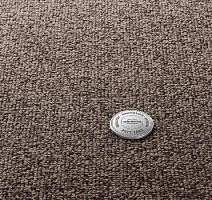 Ковролин Vorwerk Essential 1074/Parma Vorwerk 7g58 фото 1 | FLOORDEALER