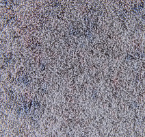 Flotex Colour Calgary 50*50 t590019 Calgary Carbon фото 2 | FLOORDEALER