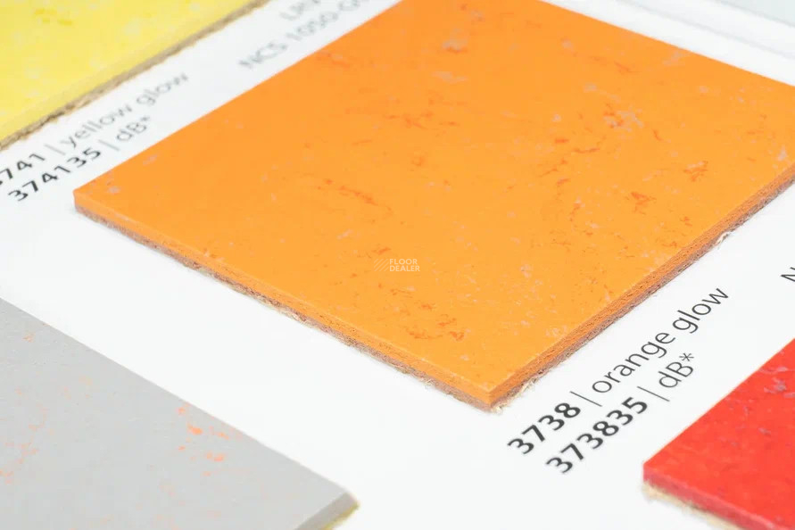 Forbo Marmoleum Solid Concrete 3738-373835 orange glow фото 2 | FLOORDEALER
