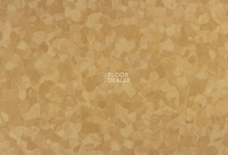 Tarkett iq Melodia 2643 фото 3 | FLOORDEALER