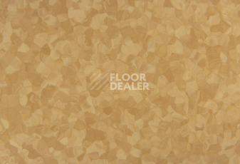 Tarkett iq Melodia 2643 фото 3 | FLOORDEALER