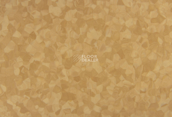 Tarkett iq Melodia 2643 фото 3 | FLOORDEALER