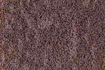 Flotex Colour Canyon 50*50 t 545026 Canyon Garnet фото 2 | FLOORDEALER