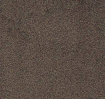 Ковролин AW Confidence 44 фото 1 | FLOORDEALER